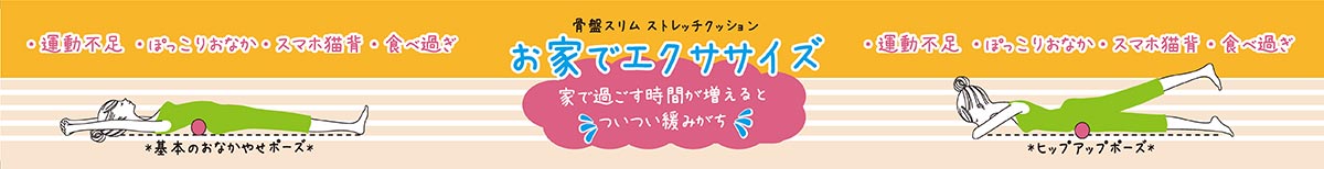 骨盤スリムストレッチクッション | ラインナップ | マインドフルネスdays 有限会社エール