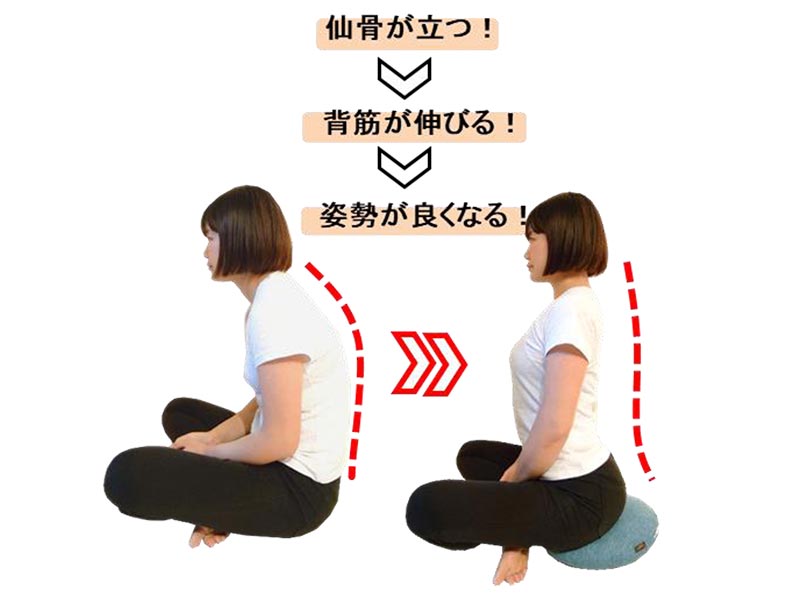 バランスクッション | ラインナップ | マインドフルネスdays 有限会社エール
