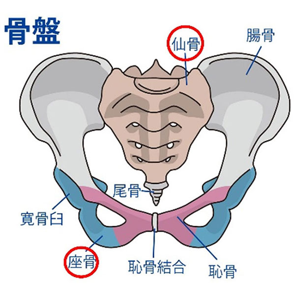 姿勢改善クッション（ループ付）実用新案登録済 | ラインナップ | マインドフルネスdays 有限会社エール