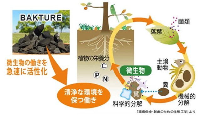 バクチャー ラインナップ 有限会社エール バクチャー ラインナップ 有限会社エール