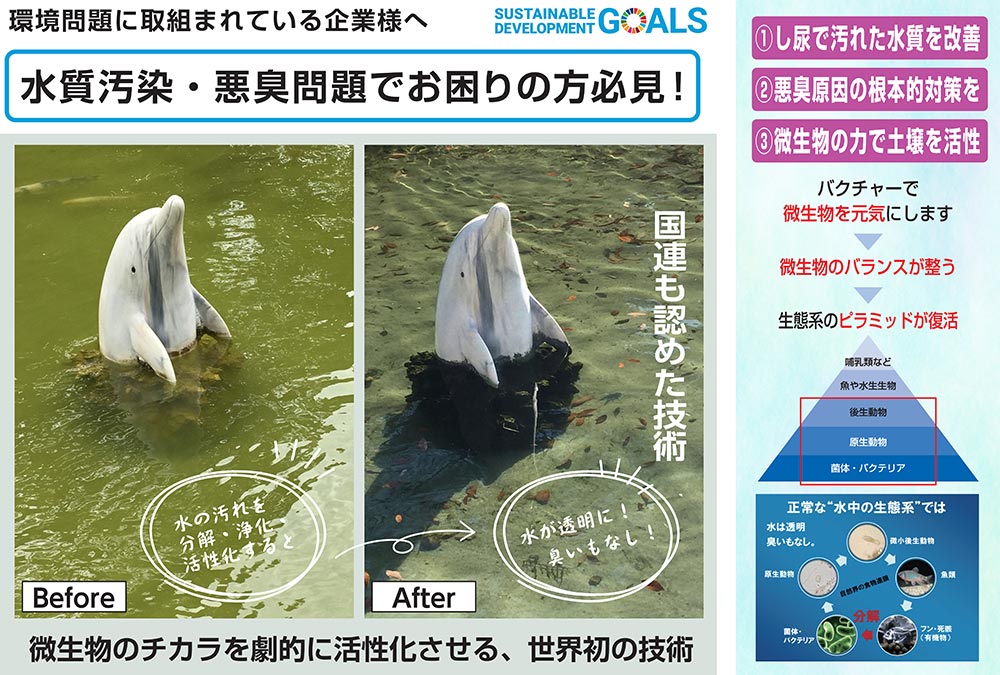 バクチャー ラインナップ 有限会社エール バクチャー ラインナップ 有限会社エール