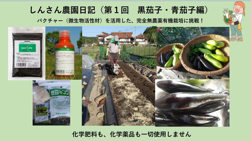 いよいよ しんさんの農園日記がスタートします。しんさんがバクチャー(微生物活性材)を活用した、完全無農薬有機栽培に挑戦します!