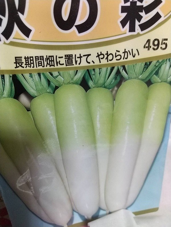 第３回　秋～冬野菜の土づくりと植え付け編 | しんさん農園日記 | マインドフルネスdays 有限会社エール
