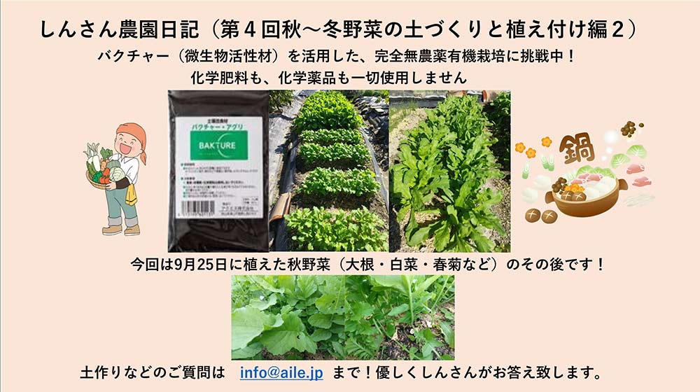 しんさん農園日記を更新しました。(第4回 秋~冬野菜の土づくりと植え付け編 2)