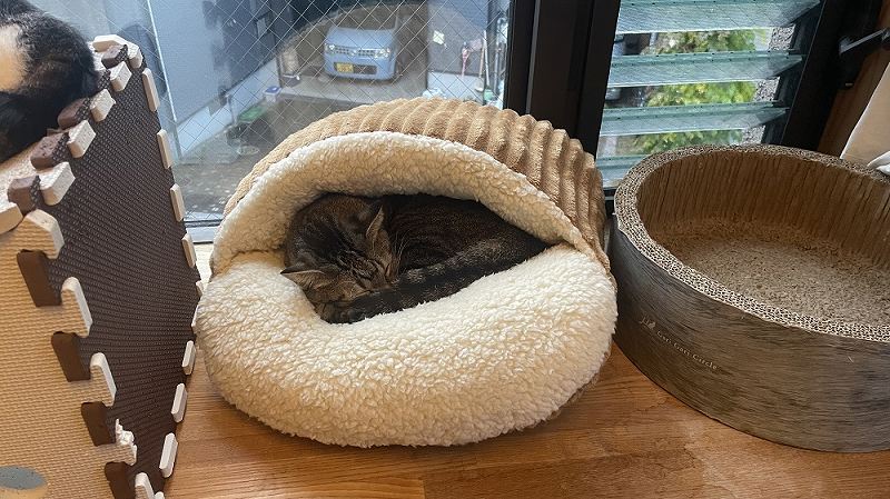 大きな足ポカクッション 猫１ | 有限会社エール
