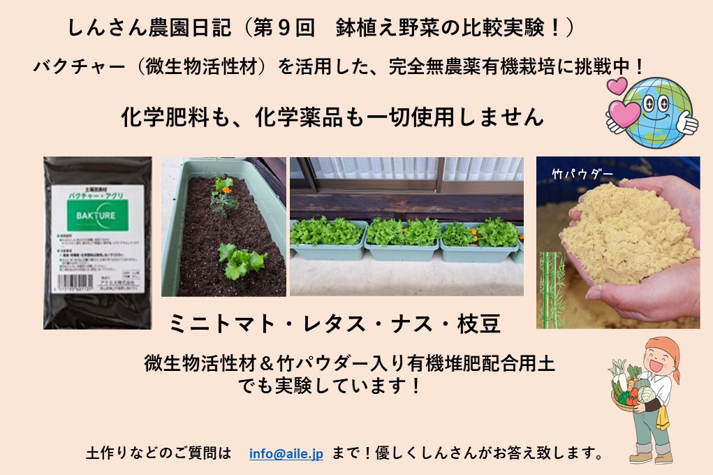 しんさん農園日記を更新しました。(鉢植え野菜の比較実験編(微生物活性材有無による))