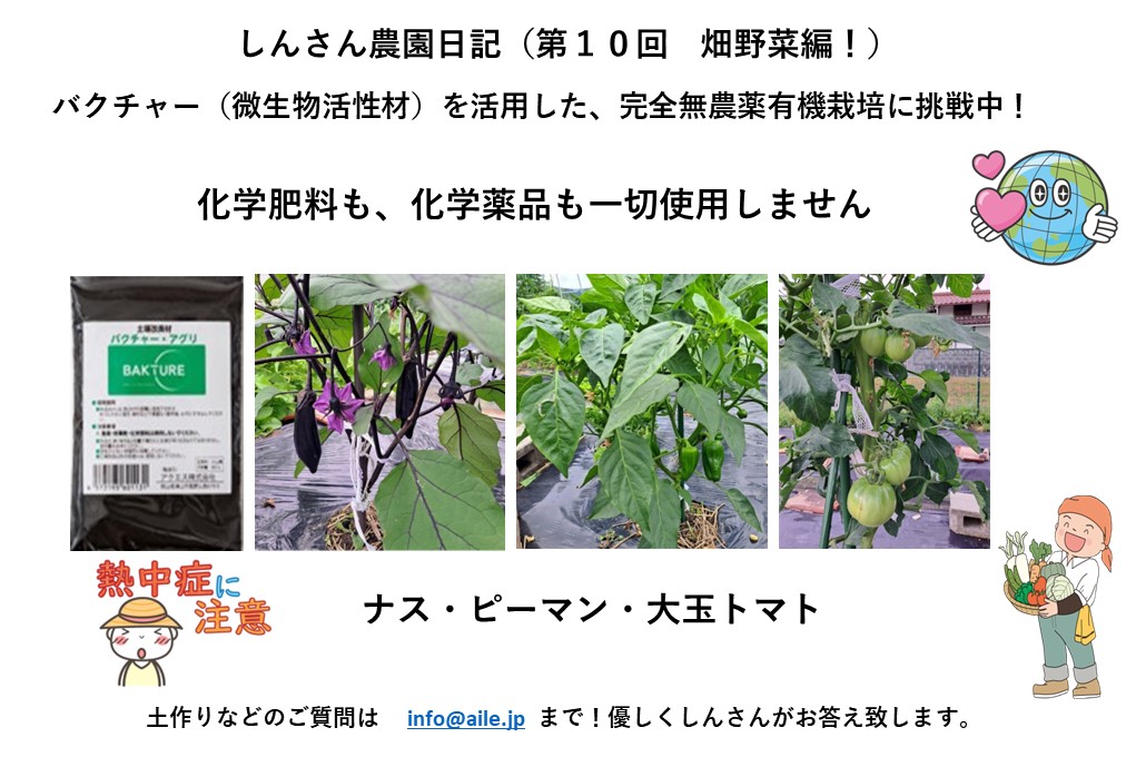 しんさん農園日記を更新しました。(畑野菜編)