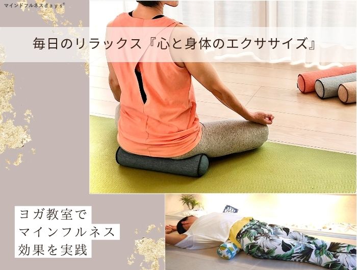 骨盤スリムストレッチクッション | ラインナップ | マインドフルネスdays 有限会社エール